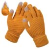 Flux Knitted Gloves